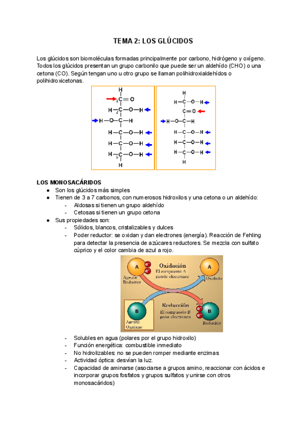 Miniatura del documento TEMA-2-LOS-GLUCIDOS.pdf