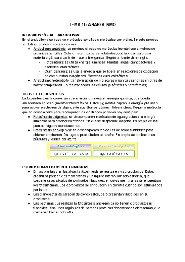 Miniatura del documento TEMA-11-ANABOLISMO.pdf