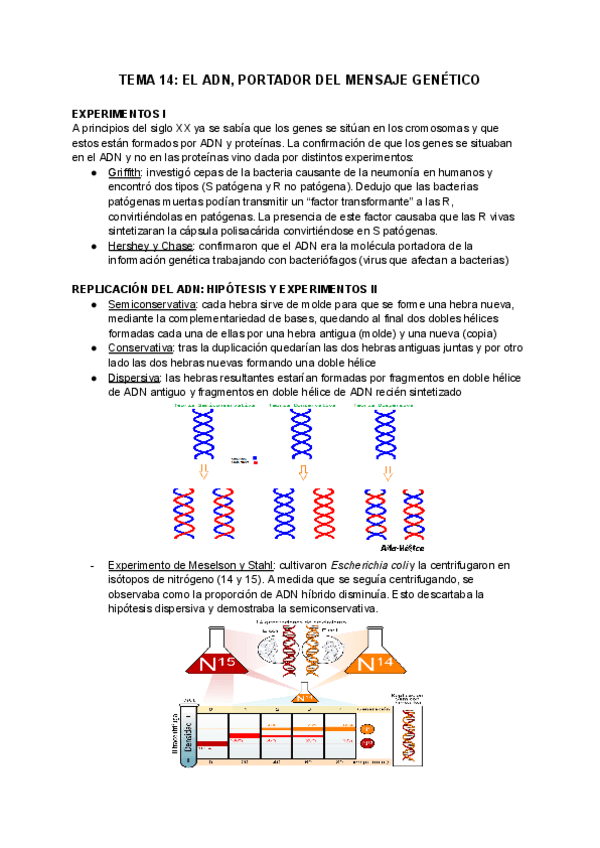 Miniatura del documento TEMA-14-EL-ADN-PORTADOR-DEL-MENSAJE-GENETICO.pdf