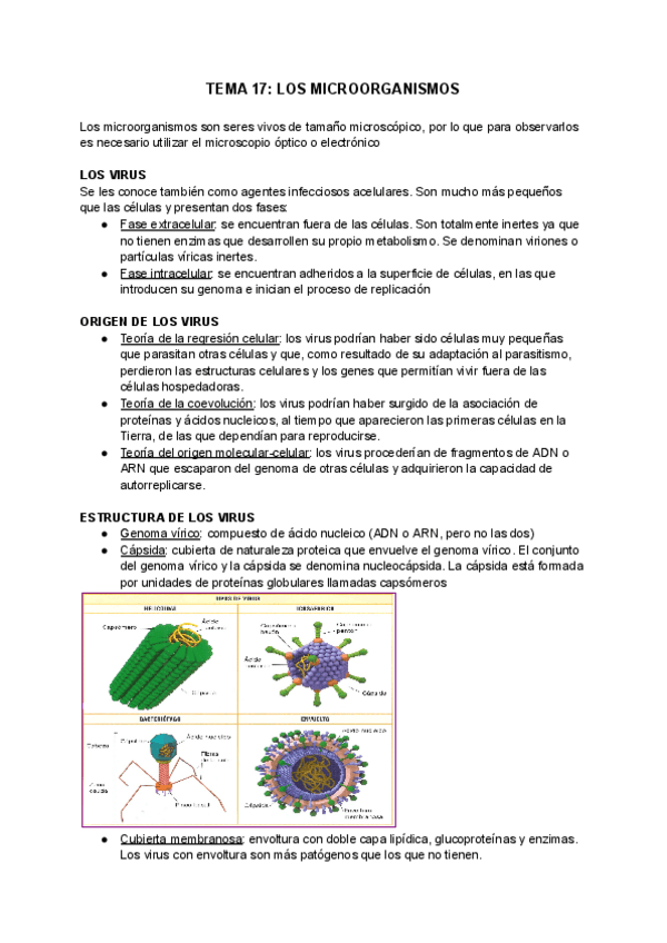 Miniatura del documento TEMA-17-LOS-MICROORGANISMOS.pdf