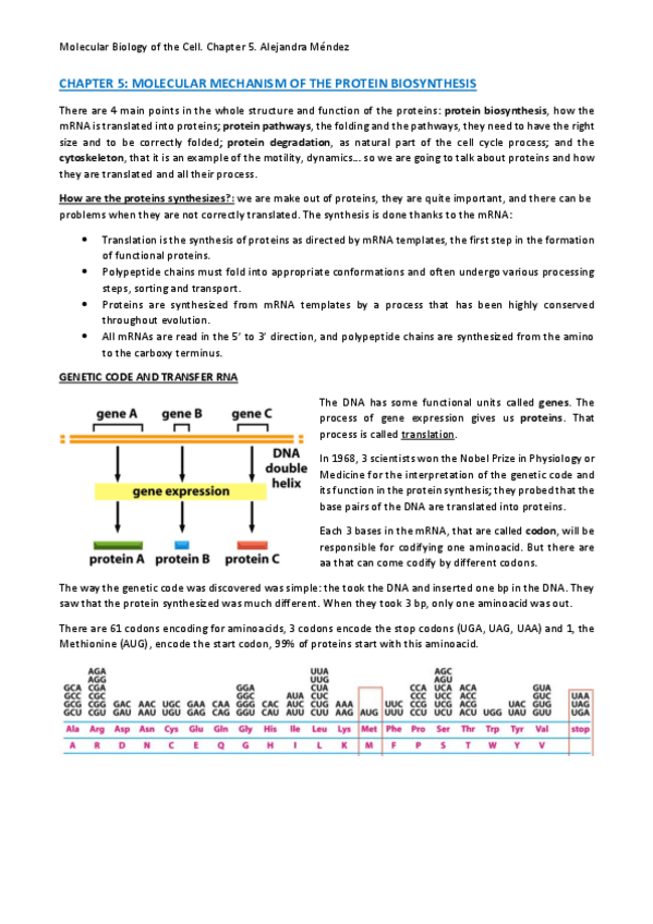 Miniatura del documento CHAPTER-5-Ap..pdf