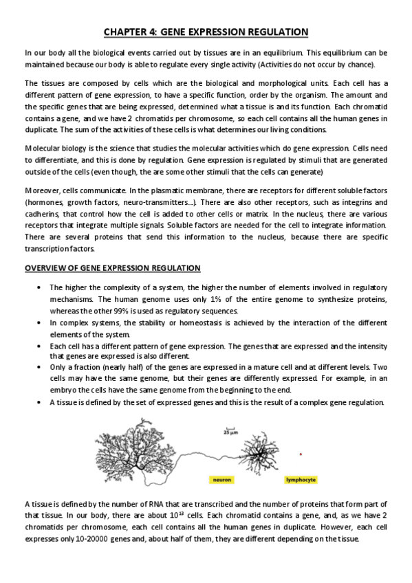 Miniatura del documento CHAPTER-4.pdf