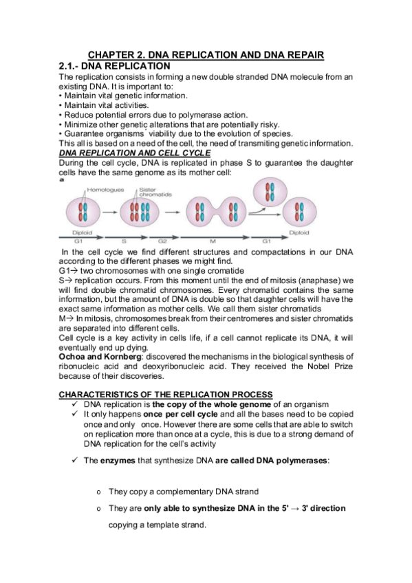 Miniatura del documento CHAPTER-2MARIA-SASIA.pdf