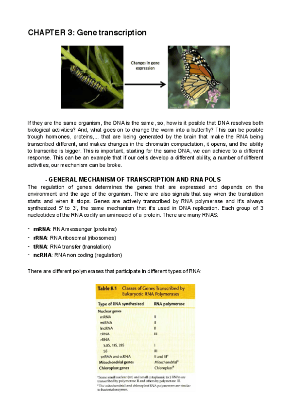 Miniatura del documento chapter-3-JUSTIFICADO.pdf