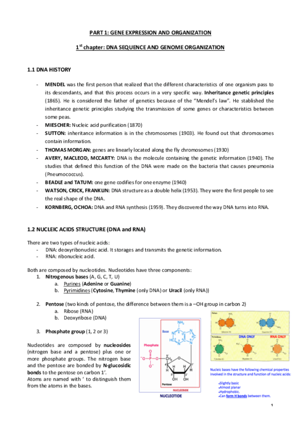Miniatura del documento CHAPTER-1.pdf
