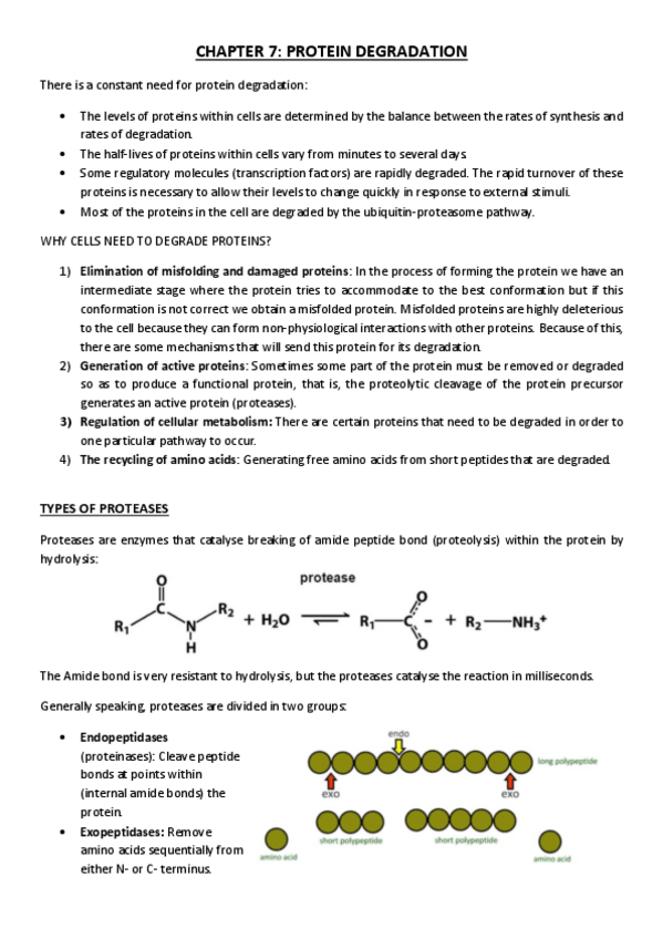 Miniatura del documento CHAPTER-7-pau.pdf
