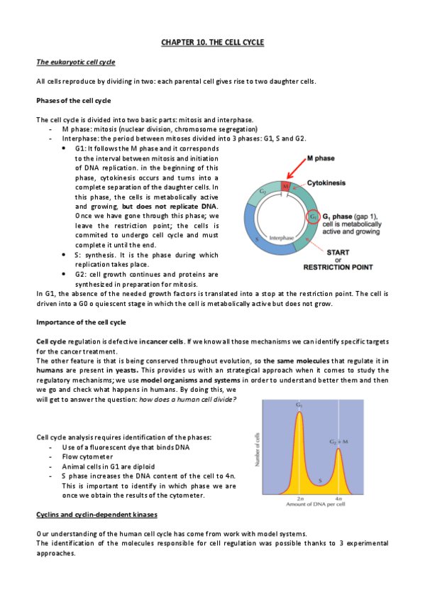 Miniatura del documento cell-cycle-regulation-chapt-10.pdf