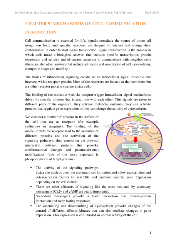 Miniatura del documento APUNTES-BLOQUE-3.pdf