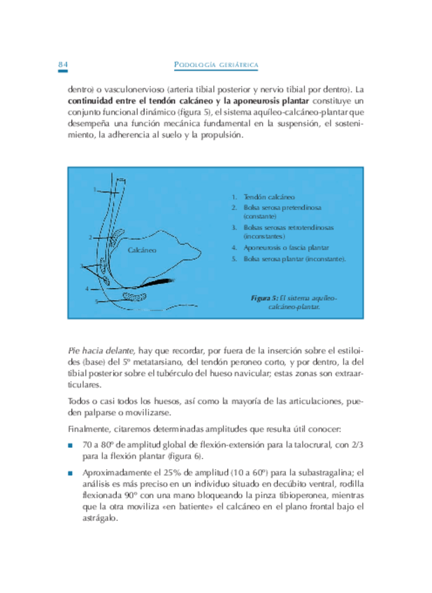 Miniatura del documento Podologia-Geriatrica-8.pdf