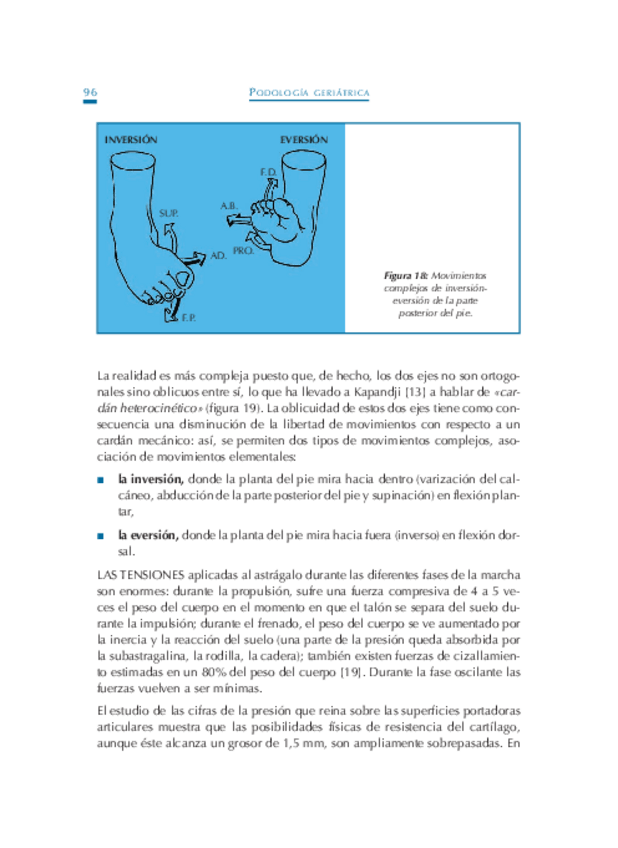 Miniatura del documento Podologia-Geriatrica-9.pdf