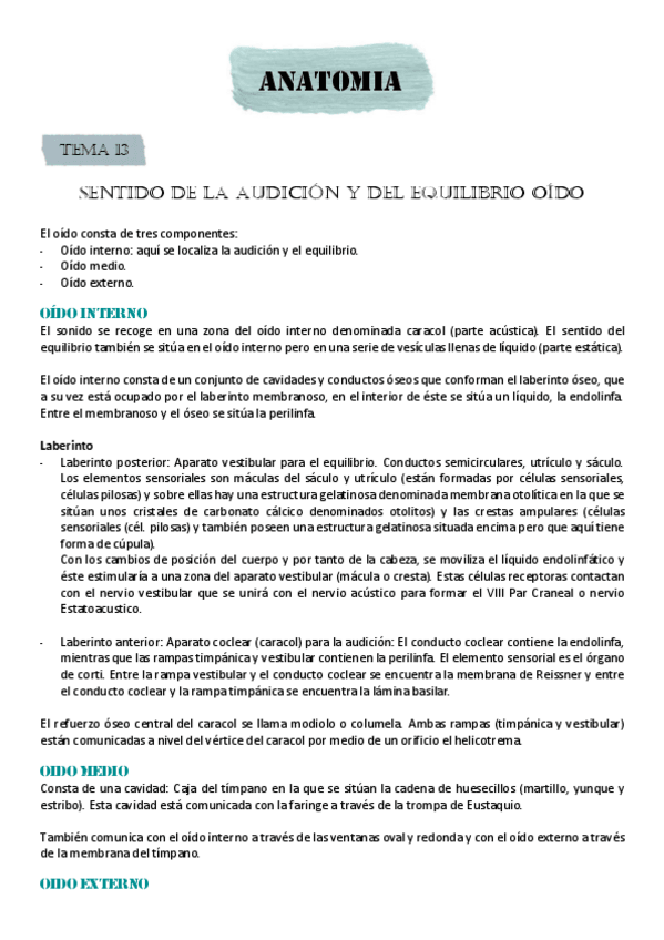 Miniatura del documento SENTIDO-DE-LA-AUDICION-Y-DEL-EQUILIBRIO-OIDO.pdf