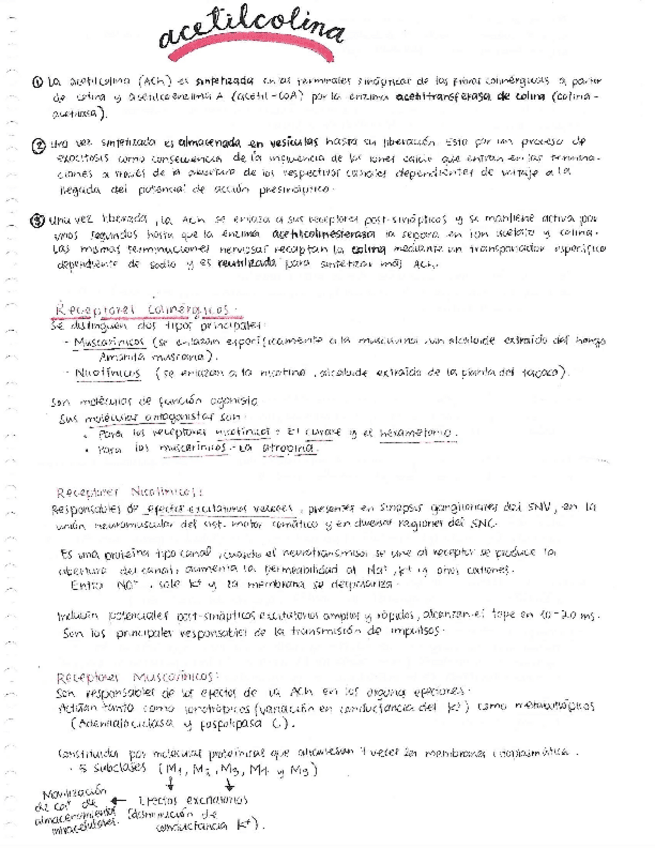 Miniatura del documento Act.-4-Farma-Acetilcolina.pdf