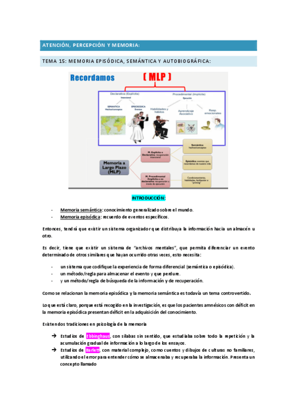 Miniatura del documento TEMA-15-APM-memoria.pdf