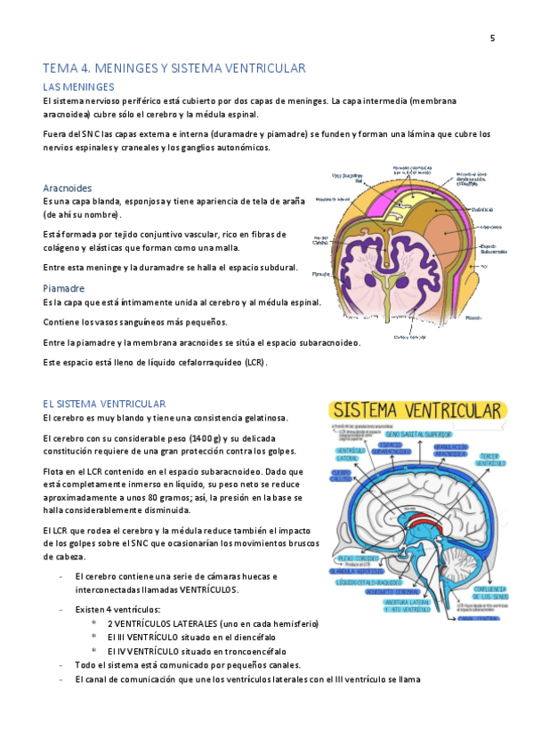Miniatura del documento Tema-4.pdf