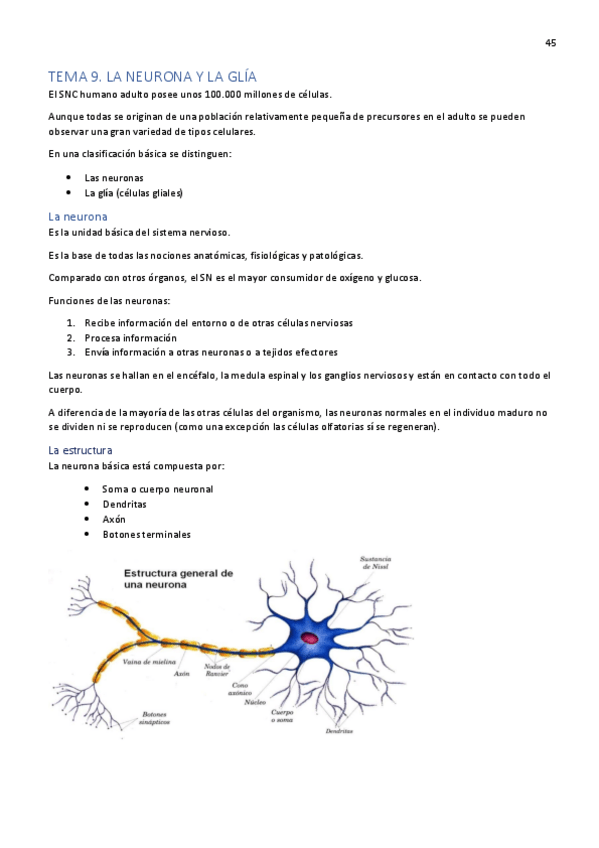 Miniatura del documento Tema-9.pdf