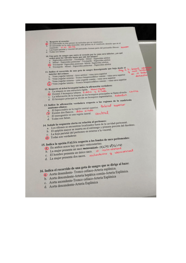 Miniatura del documento 2-Parcial-ANATOMIA-EXAMEN.pdf