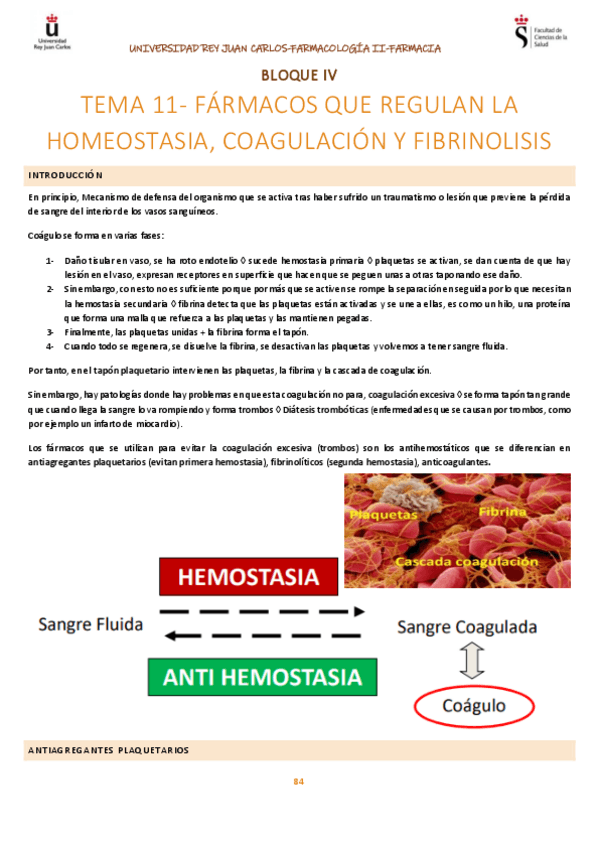 Miniatura del documento Bloque-4.pdf