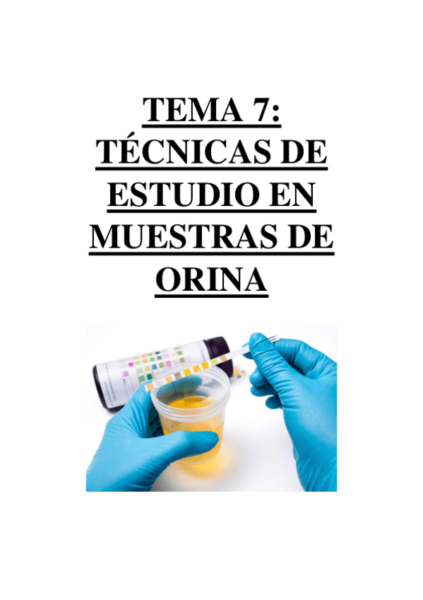 Miniatura del documento TEMA 7 - TÉCNICAS DE ESTUDIO EN MUESTRAS DE ORINA.pdf
