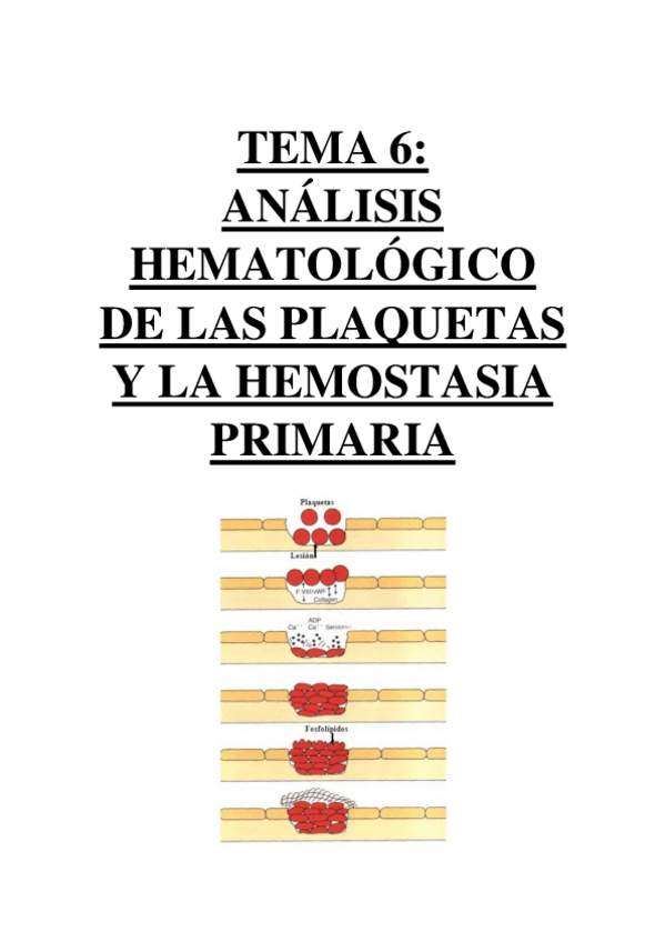 Miniatura del documento TEMA 6 - ANÁLISIS HEMATOLÓGICO DE LAS PLAQUETAS Y LA HEMOSTASIA PRIMARIA.pdf