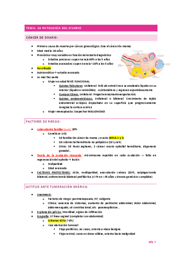 Miniatura del documento TEMA-PATOLOGIA-DEL-OVARIO.pdf