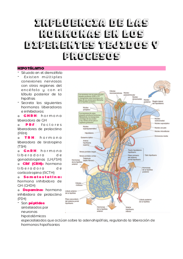 Miniatura del documento TEMA-6.pdf