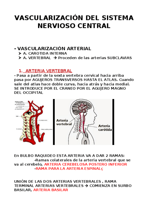 Miniatura del documento SISTEMA-VASCULAR-DEL-SNC.docx