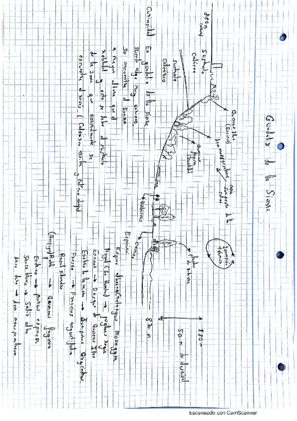 Miniatura del documento apuntes-plantas-para-el-reco.pdf