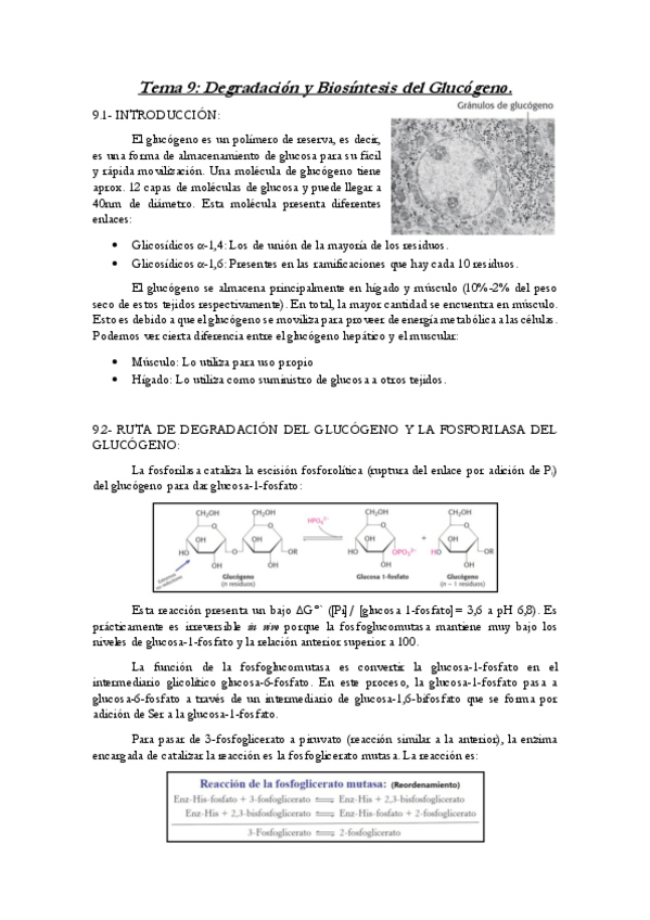Miniatura del documento Tema-9-ByM.pdf