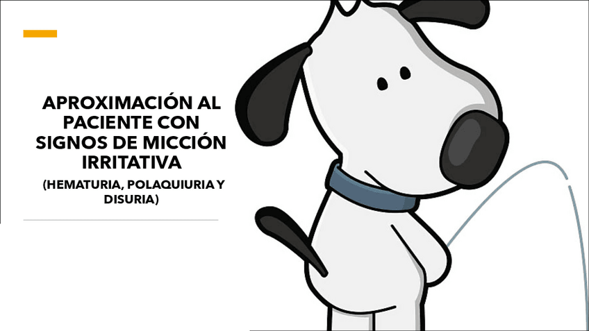 Miniatura del documento Aproximacion-al-paciente-con-miccion-irritativa.pdf