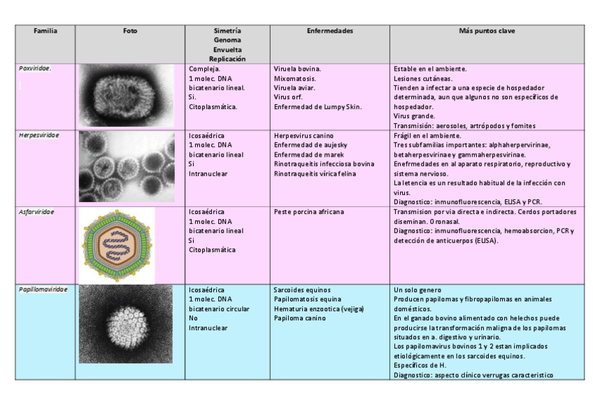 Miniatura del documento Tabla-completa-micro-virus- seminarios.pdf
