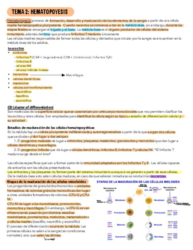 Miniatura del documento Tema-2.pdf