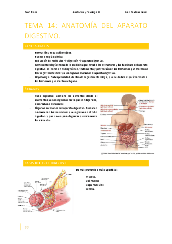 Miniatura del documento Anatomia-y-Fisiologia-II-Bloque-VI-Temas-14-15.pdf
