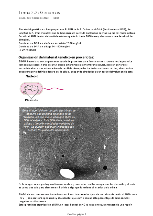 Miniatura del documento Tema-2.2-Genomas.pdf