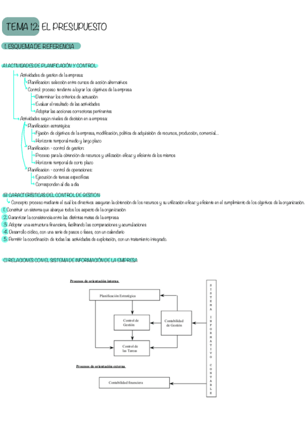 Miniatura del documento Tema-12-Resumen-Conta.pdf
