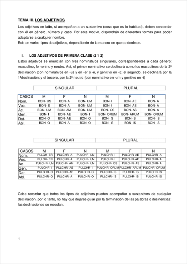 Miniatura del documento adjetivos-en-latin.pdf