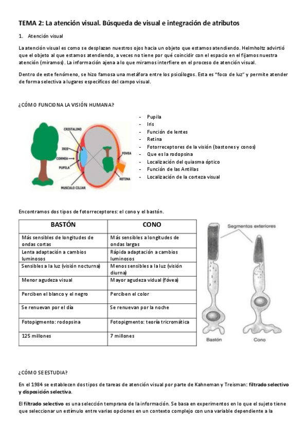 Miniatura del documento Tema-2.pdf