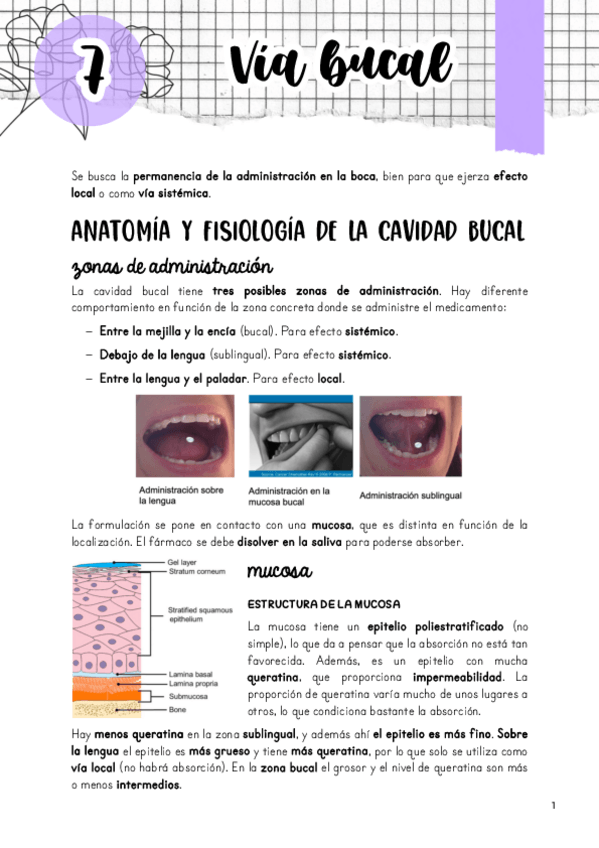 Miniatura del documento Tema-7.-Via-bucal.pdf