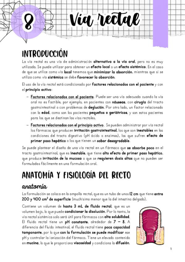 Miniatura del documento Tema-8.-Via-rectal.pdf