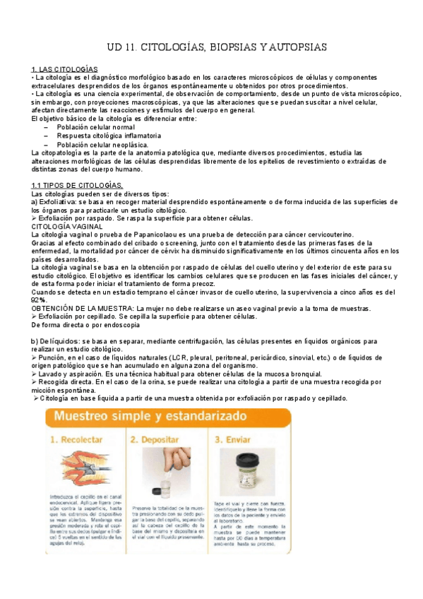 Miniatura del documento GMB-UD-11.-CITOLOGIA-Y-BIOPSIA.pdf