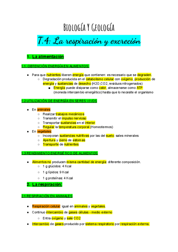 Miniatura del documento La-respiracion-y-excrecion.pdf