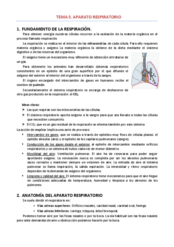 Miniatura del documento TEMA 5-APARATO-RESPIRATORIO.pdf