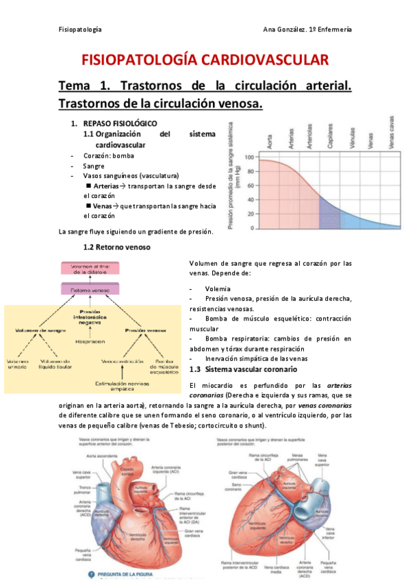 Miniatura del documento Fisiopatologia-Cardiovascular.pdf