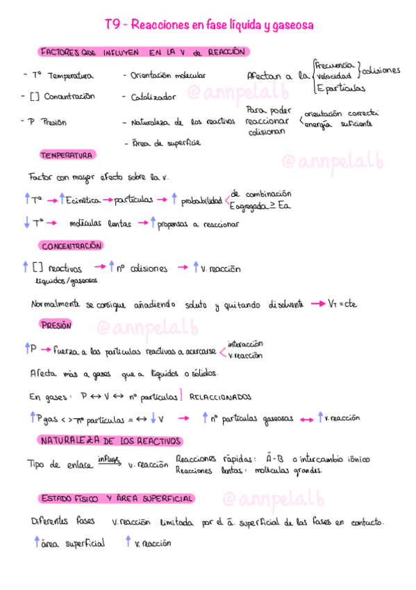 Miniatura del documento T9-Reacciones-en-fase-liquida-y-gaseosa.pdf