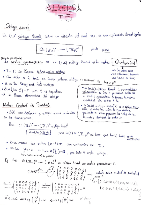 Miniatura del documento ResumeT5.pdf