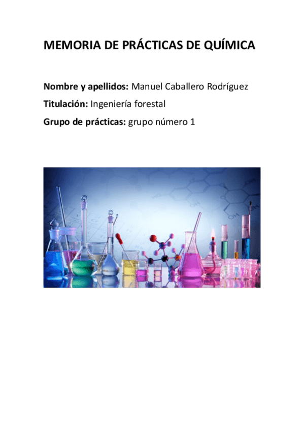 Miniatura del documento MEMORIA-DE-PRACTICAS-DE-QUIMICA-1.pdf
