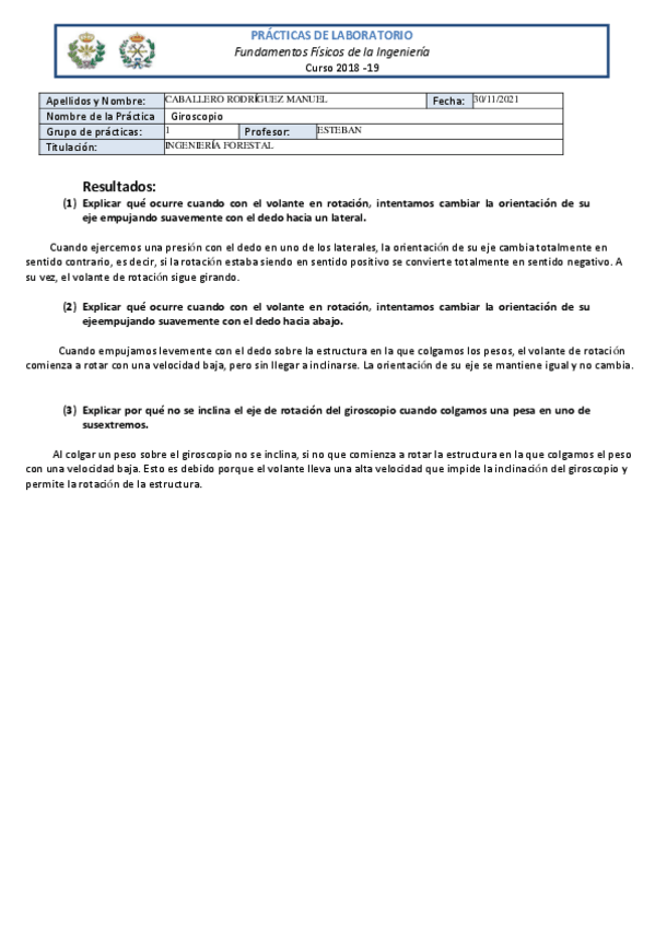 Miniatura del documento word-fisica-informe.pdf