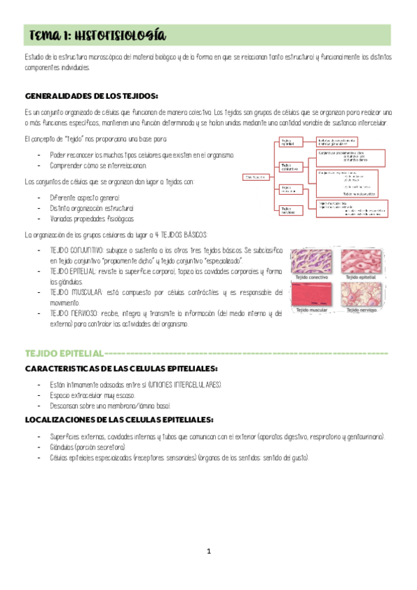 Miniatura del documento TEMA-1-HISTOFISIOLOGIA.pdf