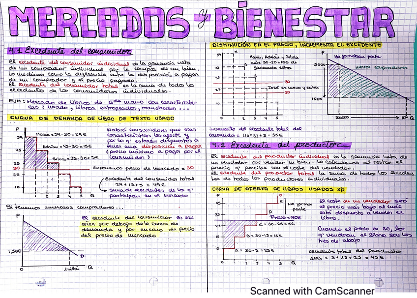 Miniatura del documento TEM4-MERCADOS-Y-BIENESTAR.pdf