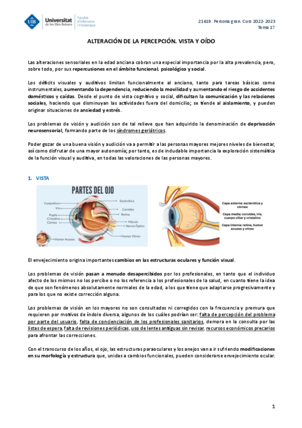 Miniatura del documento PERSONA-GRAN-TEMA-17.pdf