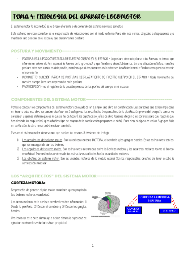 Miniatura del documento TEMA-4-APARATO-LOCOMOTOR.pdf